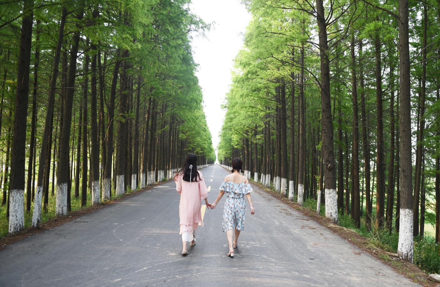 qqjie_tu_20180516105440.jpg
