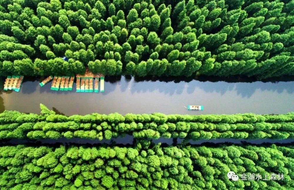 wei_xin_tu_pian_20190506153637.jpg