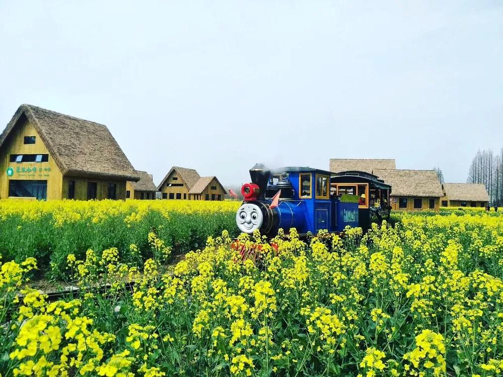wei_xin_tu_pian_20190506153723.jpg