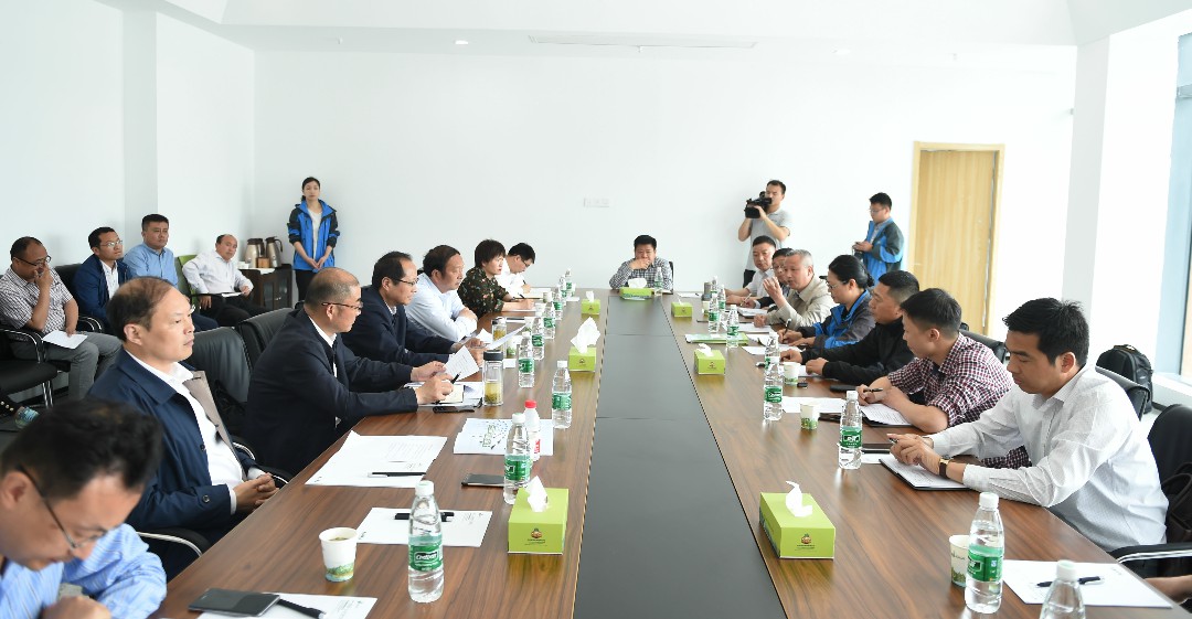 zhang_shu_ji_hui_ban_lu_you_xiang_mu_4.jpg